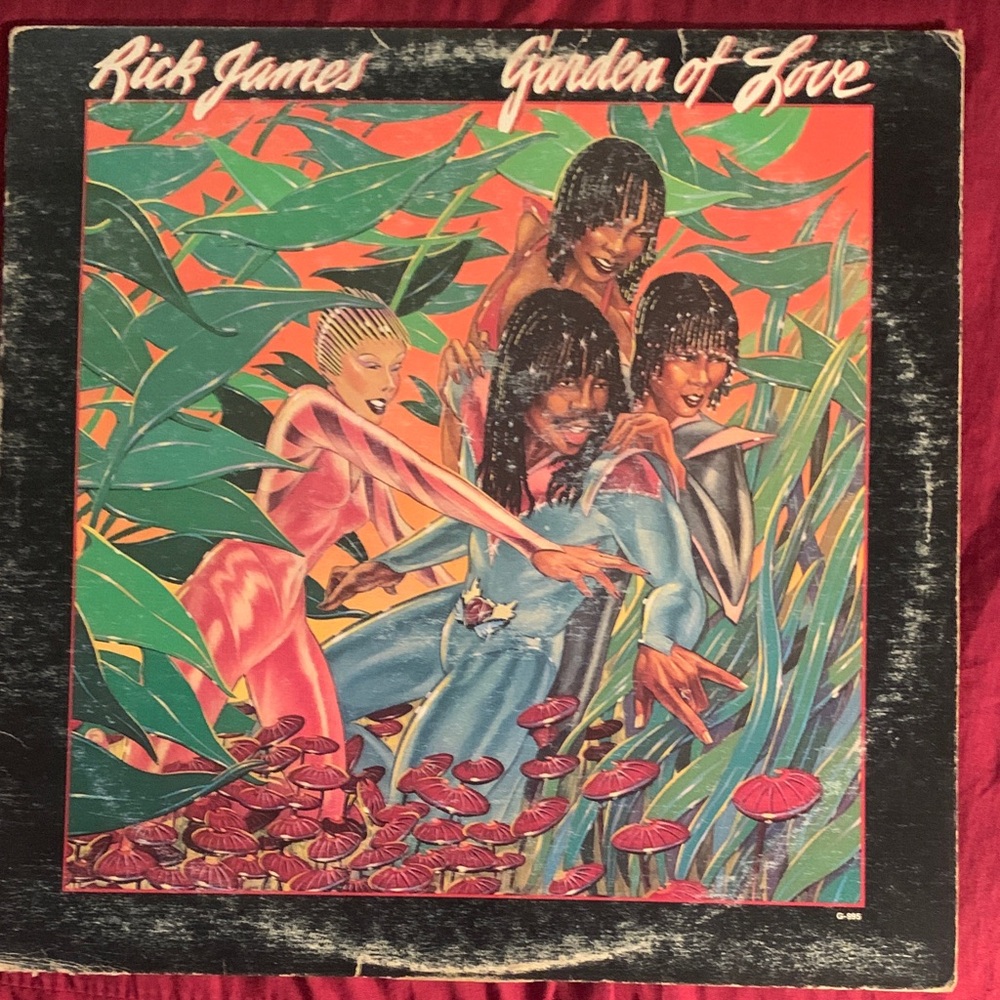 Rick James Garden of Love Vinyl Record VG/VG